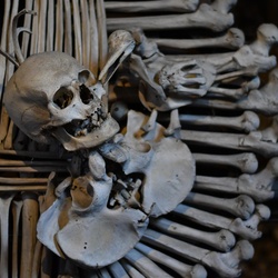 2018-10 Prague/Kutna Hora/DSC_5562.JPG